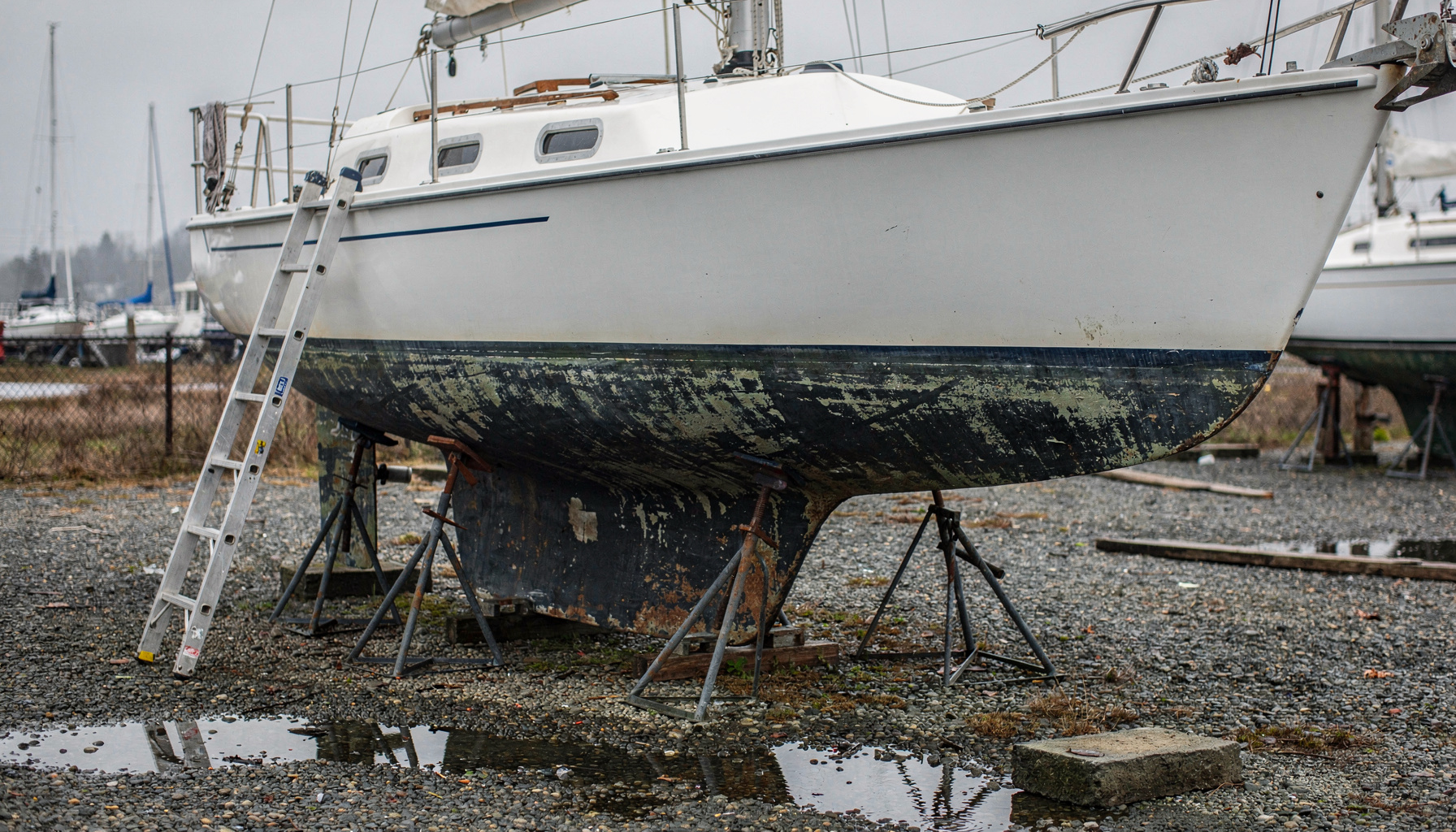 A sailboat hauled out on jackstands in a boatyard, where a survey reaches the keel, hull, and running gear a walk-through never sees